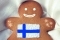 fin